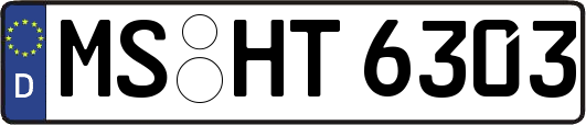 MS-HT6303