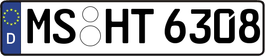 MS-HT6308