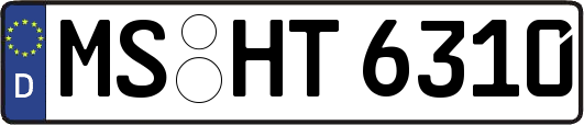 MS-HT6310