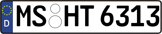 MS-HT6313