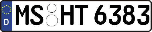MS-HT6383