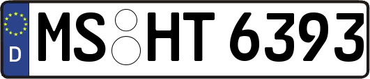 MS-HT6393