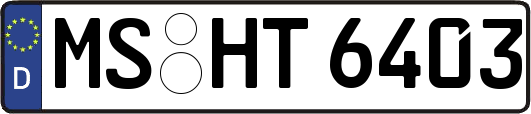 MS-HT6403