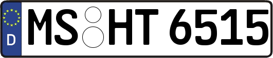 MS-HT6515