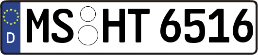 MS-HT6516
