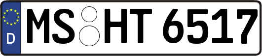 MS-HT6517
