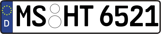 MS-HT6521