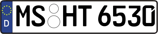 MS-HT6530