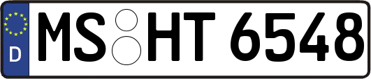 MS-HT6548