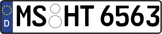 MS-HT6563