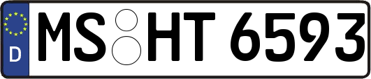MS-HT6593