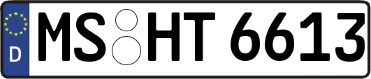 MS-HT6613