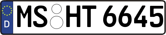 MS-HT6645