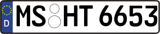 MS-HT6653