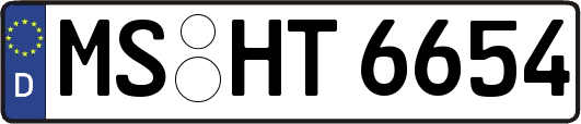 MS-HT6654