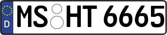 MS-HT6665