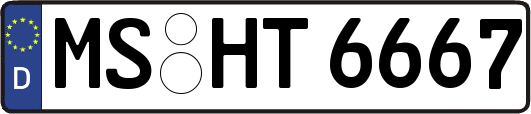 MS-HT6667