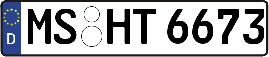 MS-HT6673