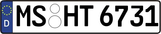 MS-HT6731