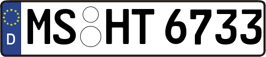 MS-HT6733
