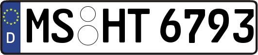 MS-HT6793