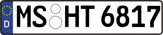 MS-HT6817