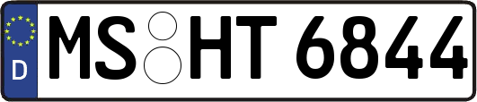 MS-HT6844