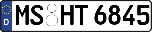 MS-HT6845