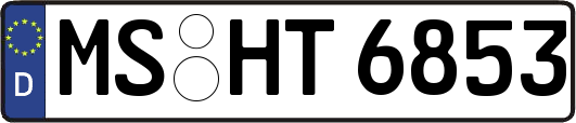 MS-HT6853