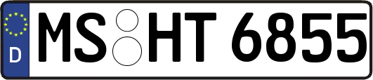 MS-HT6855