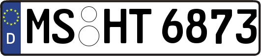 MS-HT6873