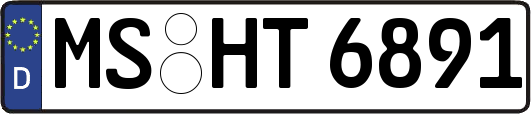 MS-HT6891
