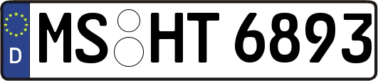 MS-HT6893