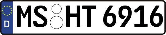 MS-HT6916