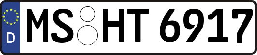 MS-HT6917