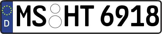 MS-HT6918