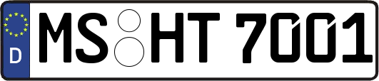 MS-HT7001