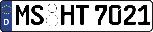 MS-HT7021