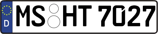 MS-HT7027