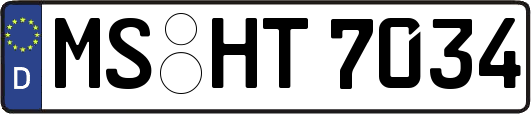 MS-HT7034