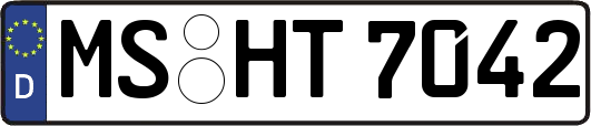 MS-HT7042
