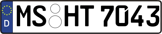 MS-HT7043