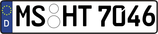 MS-HT7046