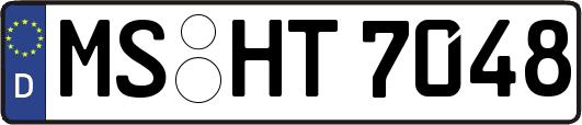 MS-HT7048