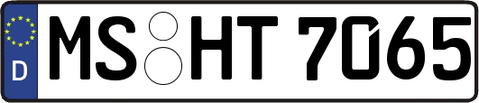 MS-HT7065