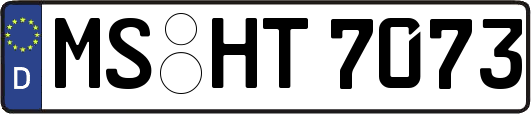 MS-HT7073