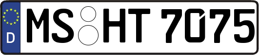 MS-HT7075