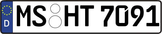 MS-HT7091
