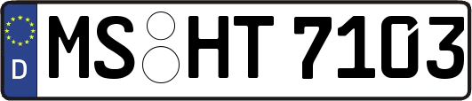 MS-HT7103
