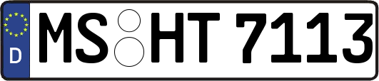MS-HT7113